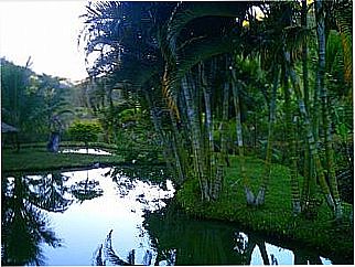 cidade de Nova Bel�m
