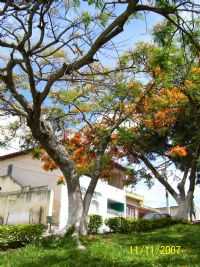 Nova União - praça nova união mg, Por Mariza Maria