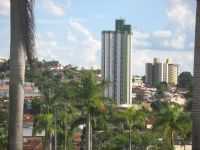 Ouro Fino - Ouro Fino, Por Mateus Aguiar