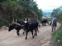 Ouro Fino - Turismo Rural, Por Agência receptiva Sul das Gerais,ecoturismo e aventura