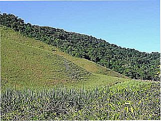 cidade de Padre Felisberto