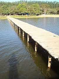 Pingo-D