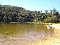 Pingo-D