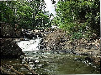 cidade de Pinhotiba