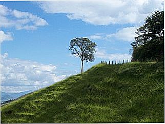 cidade de Pintos Negreiros