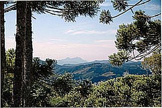 cidade de Pirangu�u