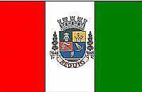 Reduto - Bandeira de Reduto-MG