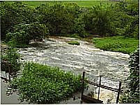 Ribeir�o Sto Antonio
por Andre Alvim(X�x�)