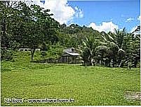 �rea rural-Foto:mfrural.com.br