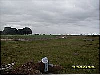 Um chap�u perdido na regi�o da fazenda da pedras (pr�ximo a Argolo)  por jmdf