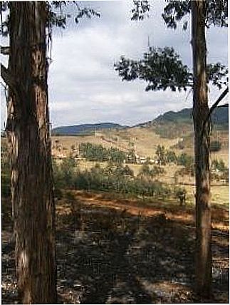 cidade de Santana do Alfi�