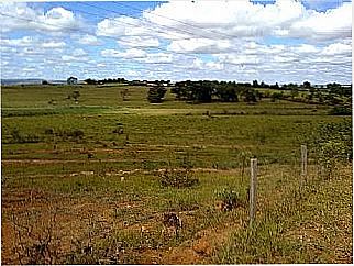 cidade de S�o Braz