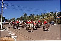 Cavalgada