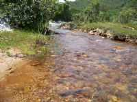 Rio Preto, Por GABRIELA DE CARVALHO NOGUEIRA