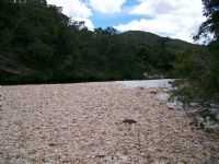Rio Preto, Por GABRIELA DE CARVALHO NOGUEIRA