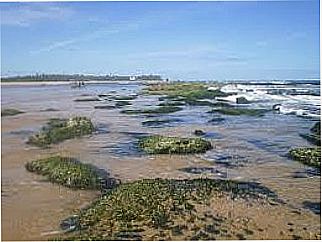 cidade de Barra do Jacu�pe