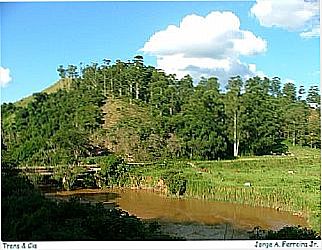 cidade de Valadares