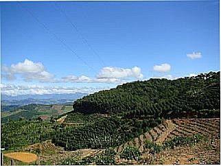 cidade de Vieiras