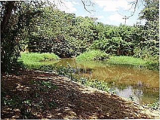 cidade de Vila Nova dos Po��es