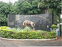 Aparecida do Tabo�o-Foto:Maur�cioFSantos [Panoramio]