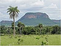 Morro do Chap�u,visto da Rodovia-Foto:Carlos Morcego [Panoramio]