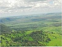 Cerro
