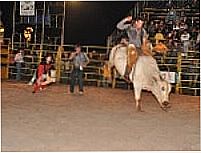 Rodeio