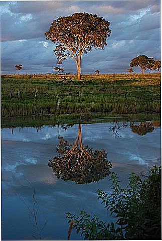 cidade de Inoc�ncia
