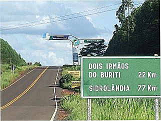 cidade de Palmeiras