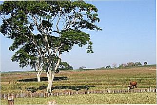 cidade de Pirapora