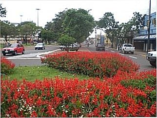 cidade de Ponta Por�