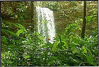 cidade de Taquarussu