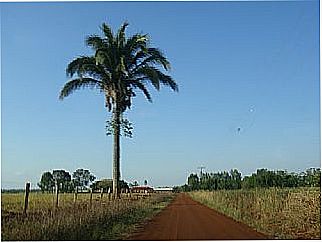 cidade de Vila Vargas