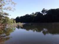 Alta Floresta - RIO TELES PIRES , Por luciana meira