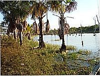 Lago em Alto Boa Vista-Foto:Hélcio B. Silva