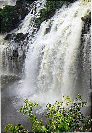 cidade de Aripuan�