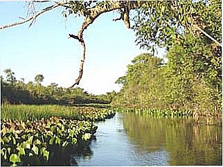 cidade de Bar�o de Melga�o