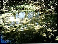 Nascente fervedouro foto Rdobrazil