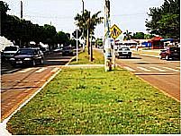 Parcial da Avenida Brasil-Foto:xandy rolim