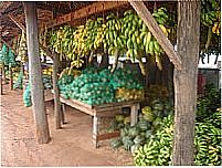 Venda de frutas na estrada-Foto:Washington Ribeiro