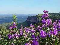 Chapada dos Guimarães - Morro do Convento foto
por Armando Jose Dall Pizzolo