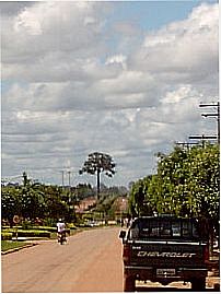 Avenida-Foto:Manduquinha 