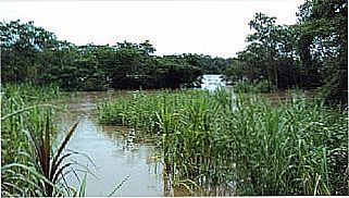 cidade de Guarita