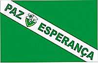 Bandeira da cidade