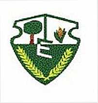 Brasão do municipio