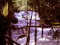 Corrego do Salto, Por Edson Walter Cavalari