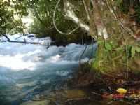 Corrego do Salto, Por Edson Walter Cavalari