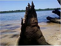 Rio Tocantins Araquembaua, Por Henrique Daniel de Jesus