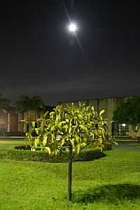 Belém - Visão noturna da praça em Belém-PA-Foto:R & F Faraon