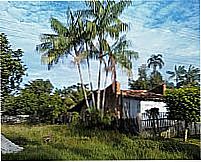 Casa típica do Pará-Foto:Eleivandro
